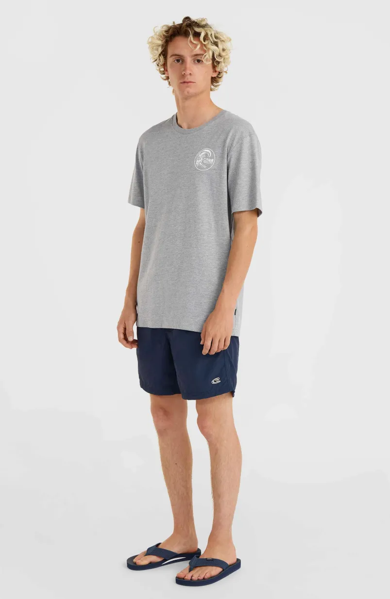 Circle Surfer T-Shirt | Silver Melee -A
