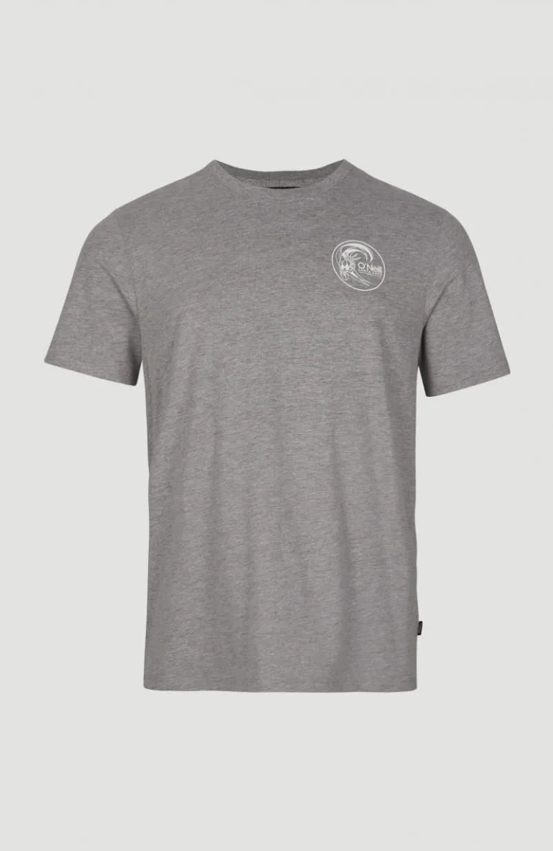 Circle Surfer T-Shirt | Silver Melee -A