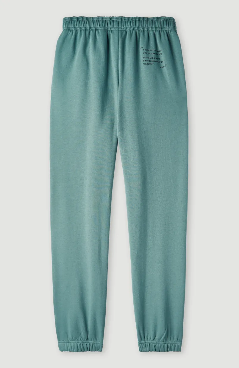 Future Surf High-Waist Joggingbroek | North Atlantic