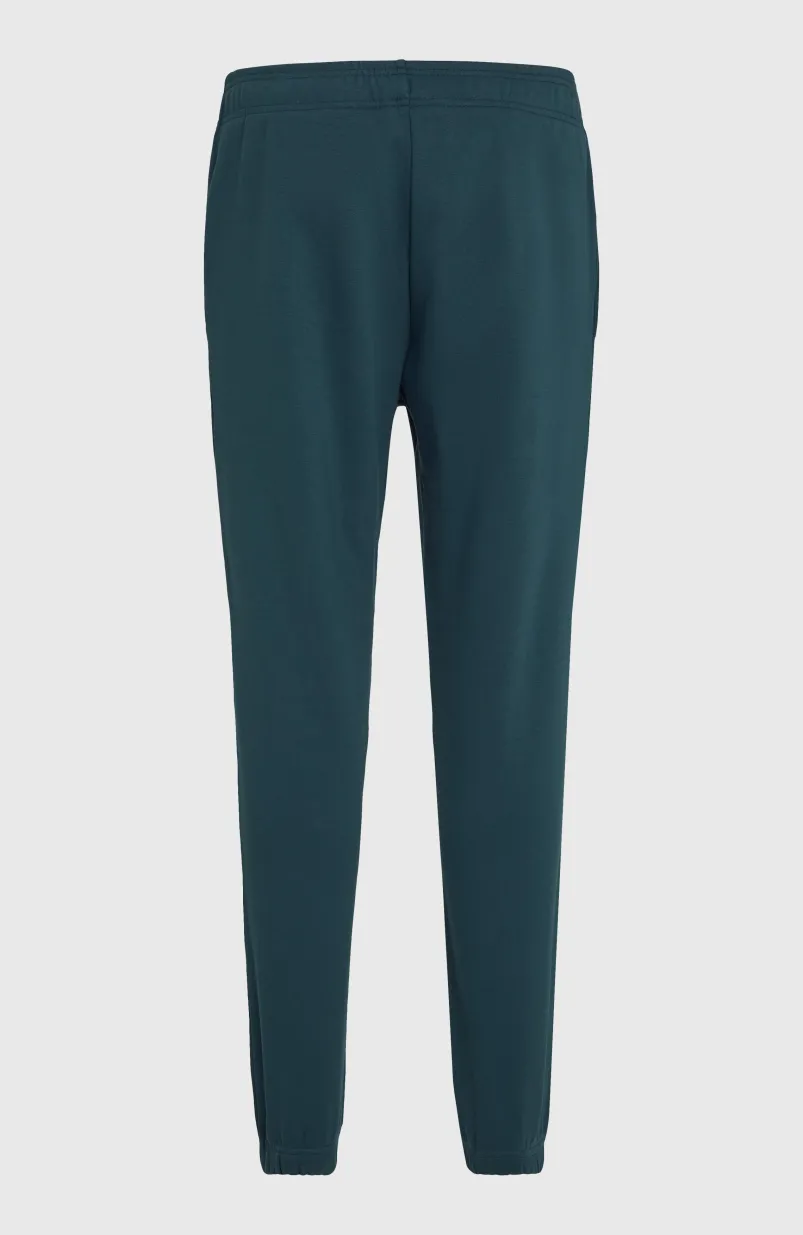 Future Surf Society Joggingbroek | Alma Steel