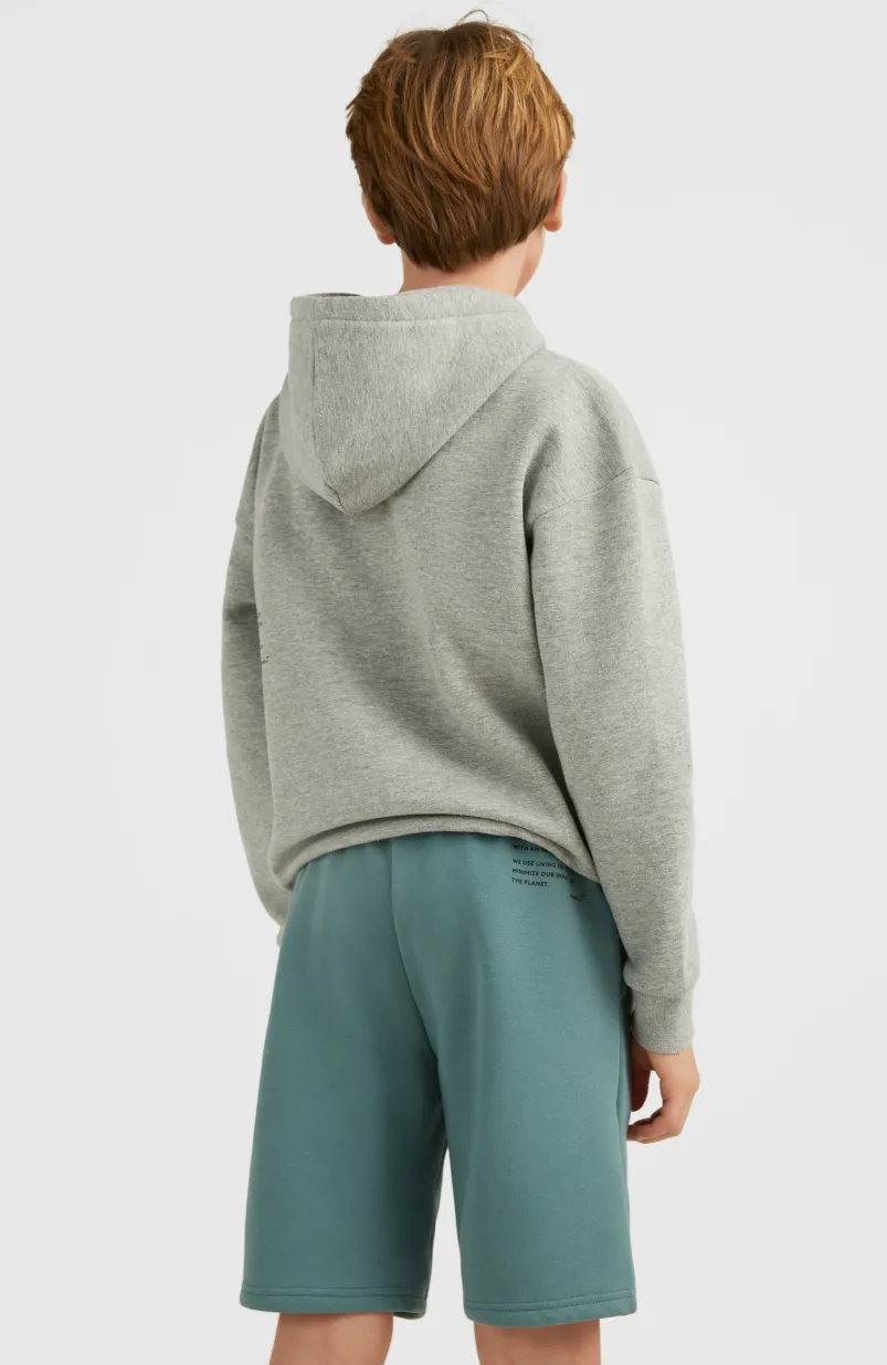 Future Surfshort | North Atlantic