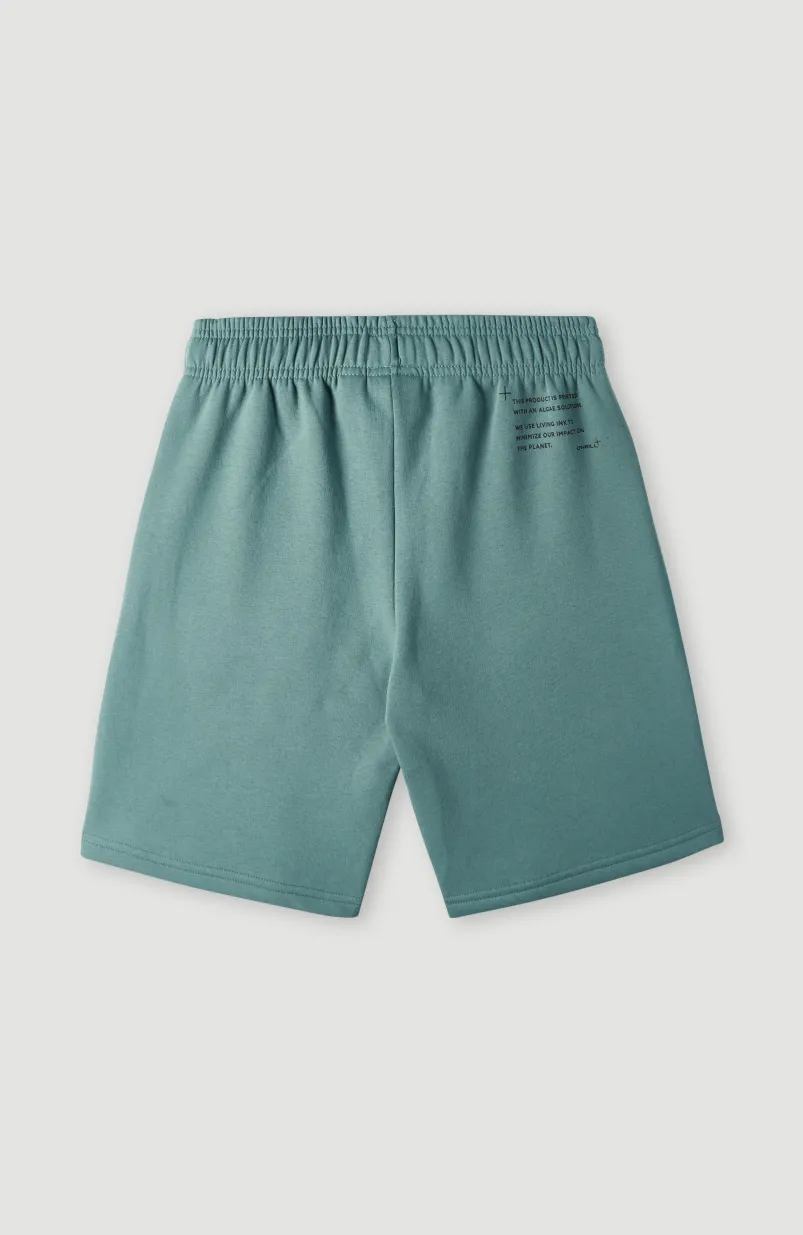 Future Surfshort | North Atlantic