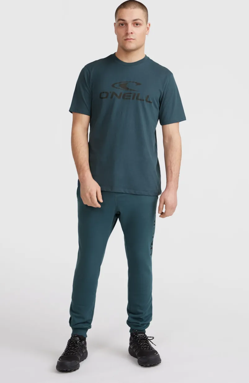 Logo T-shirt | Alma Steel