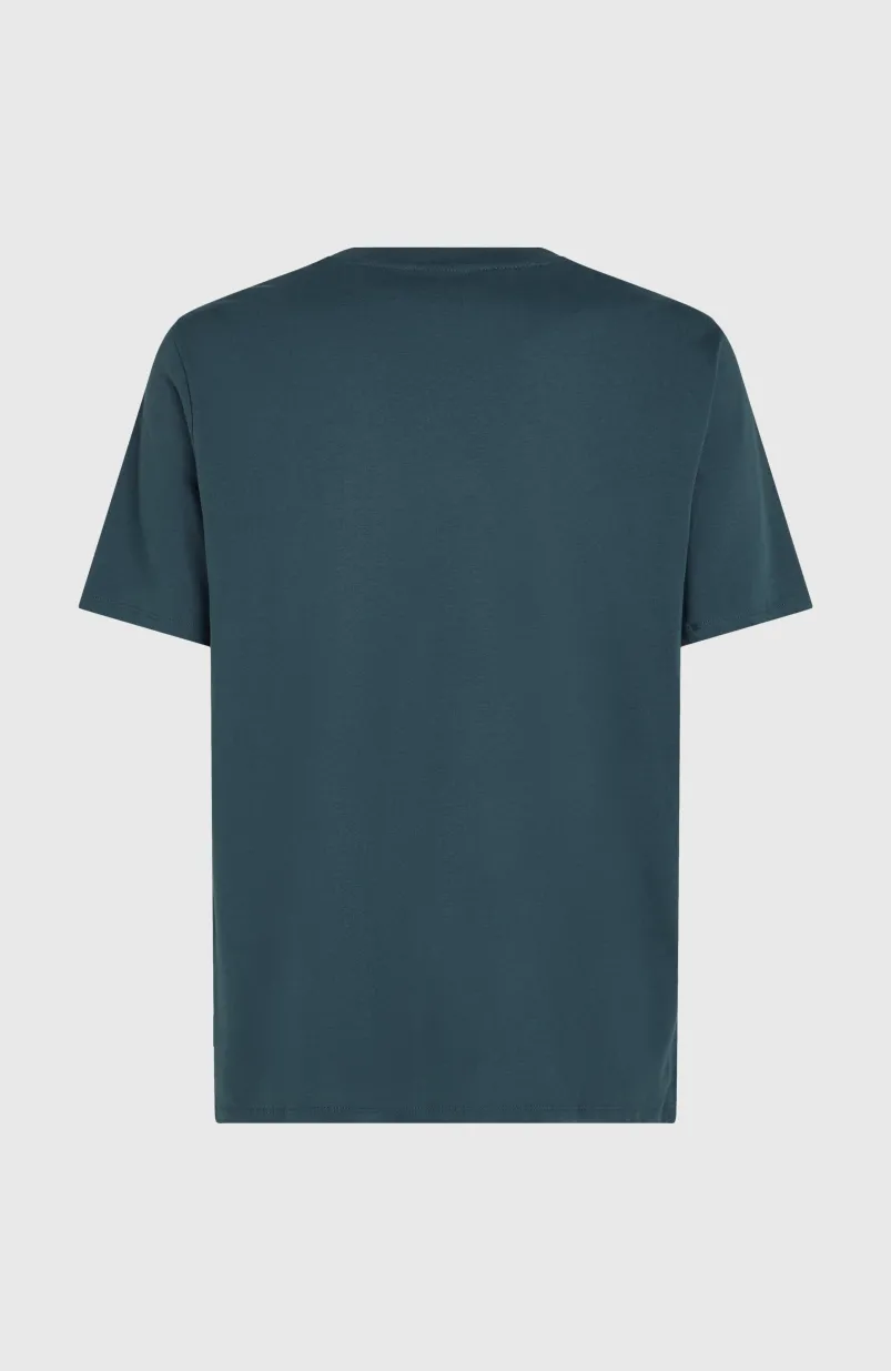 Logo T-shirt | Alma Steel