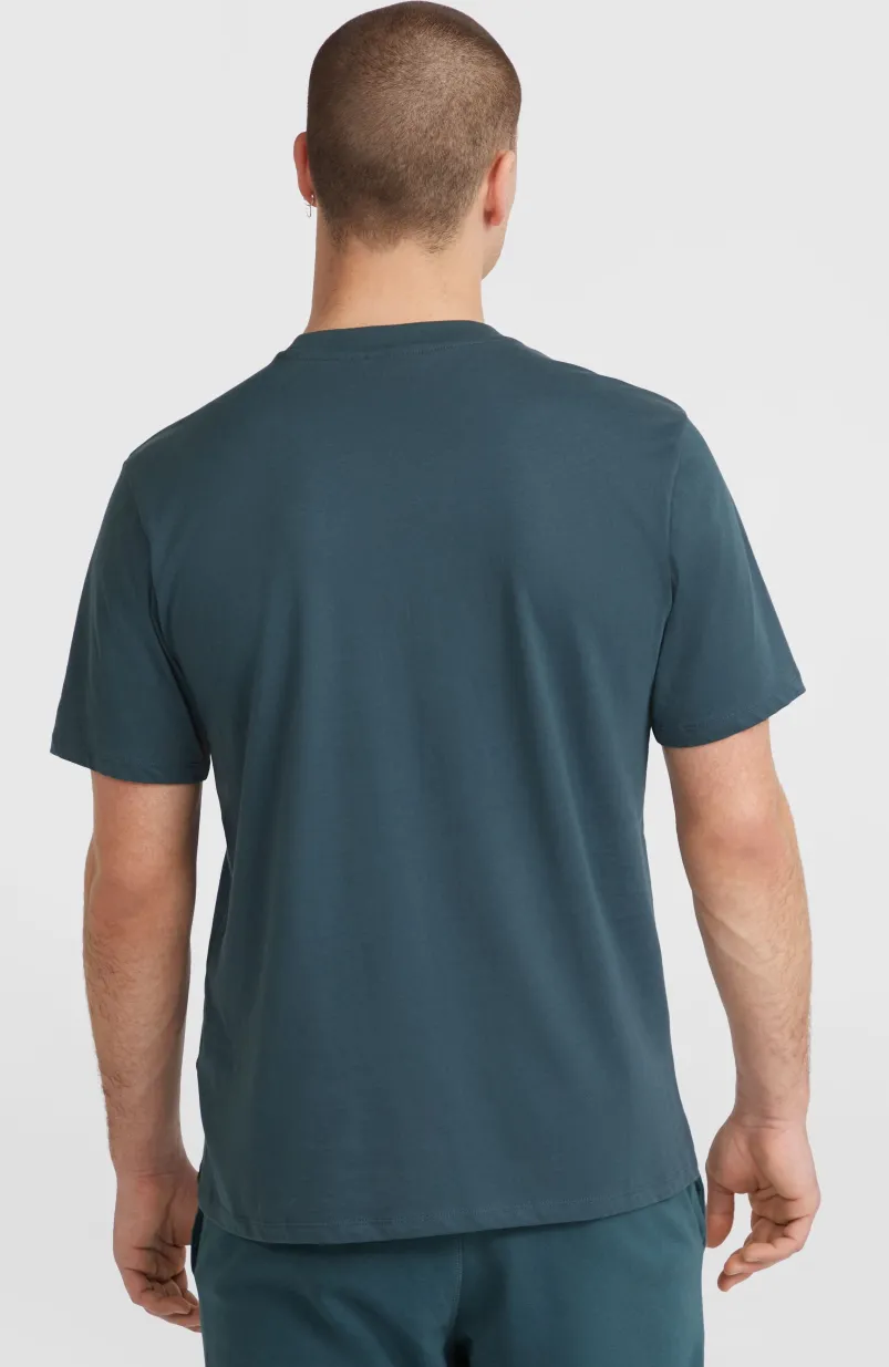 Logo T-shirt | Alma Steel