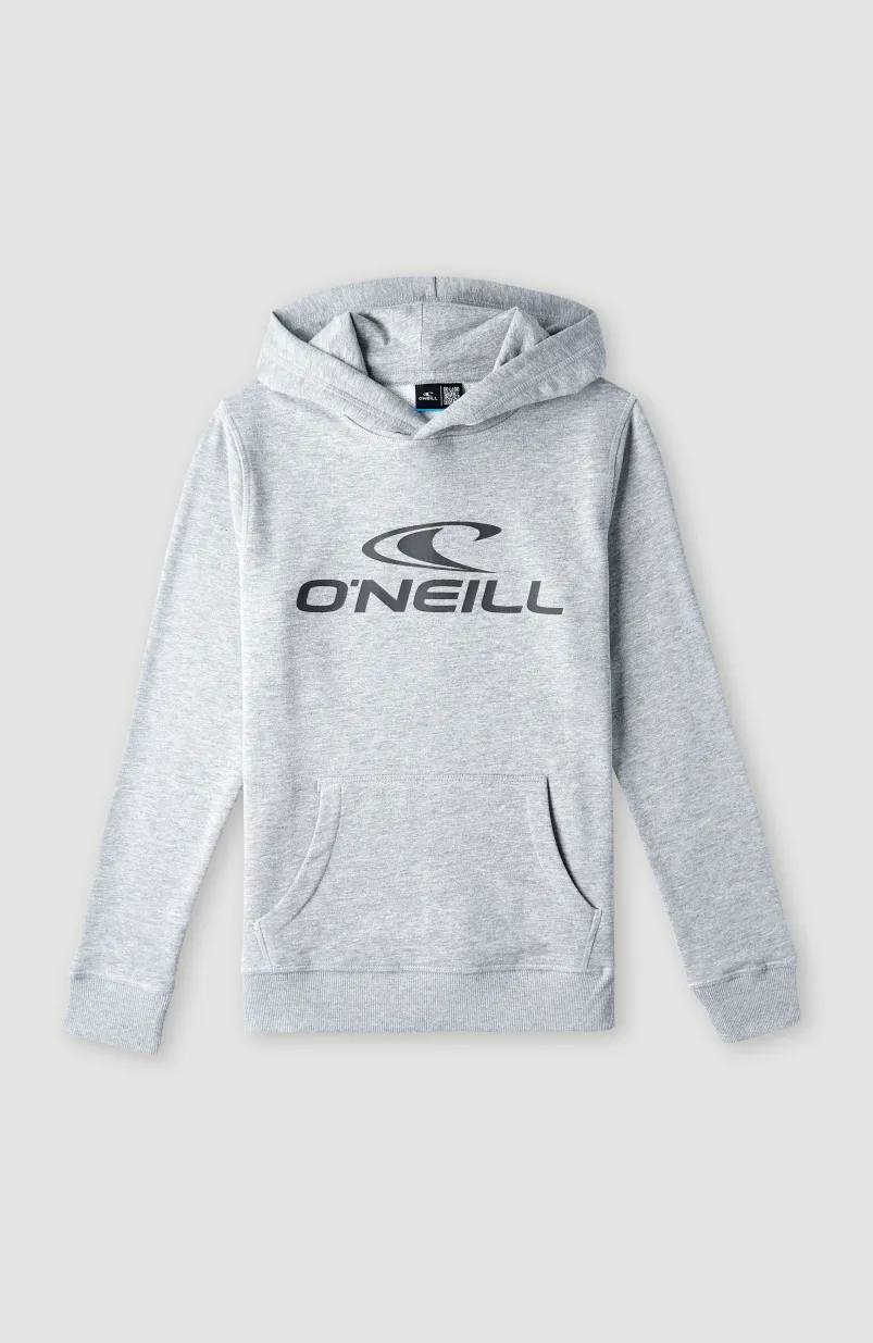 O'Neill Logo Hoodie | Silver Melee