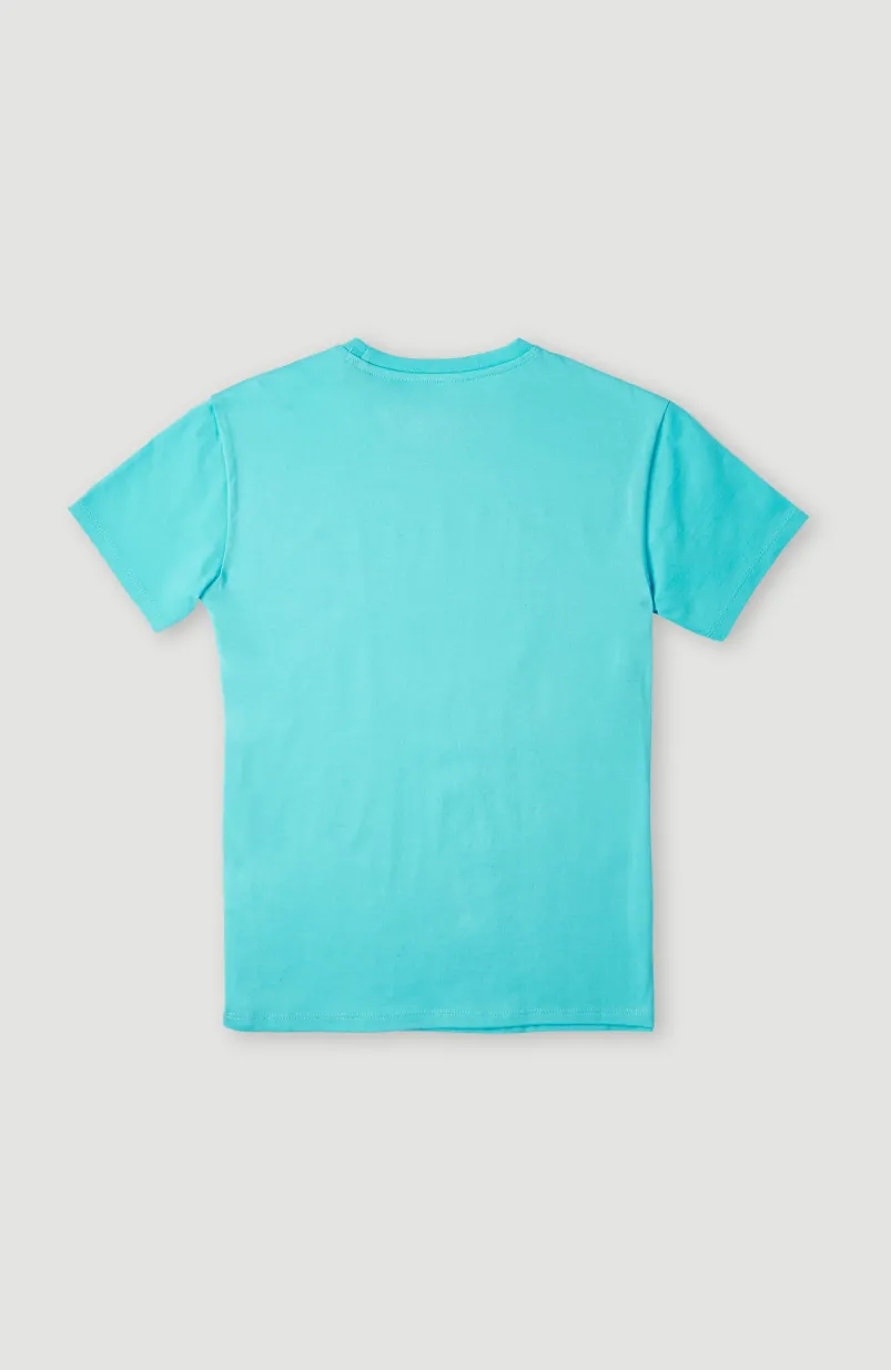 T-shirt Sanborn | Bachelor Button