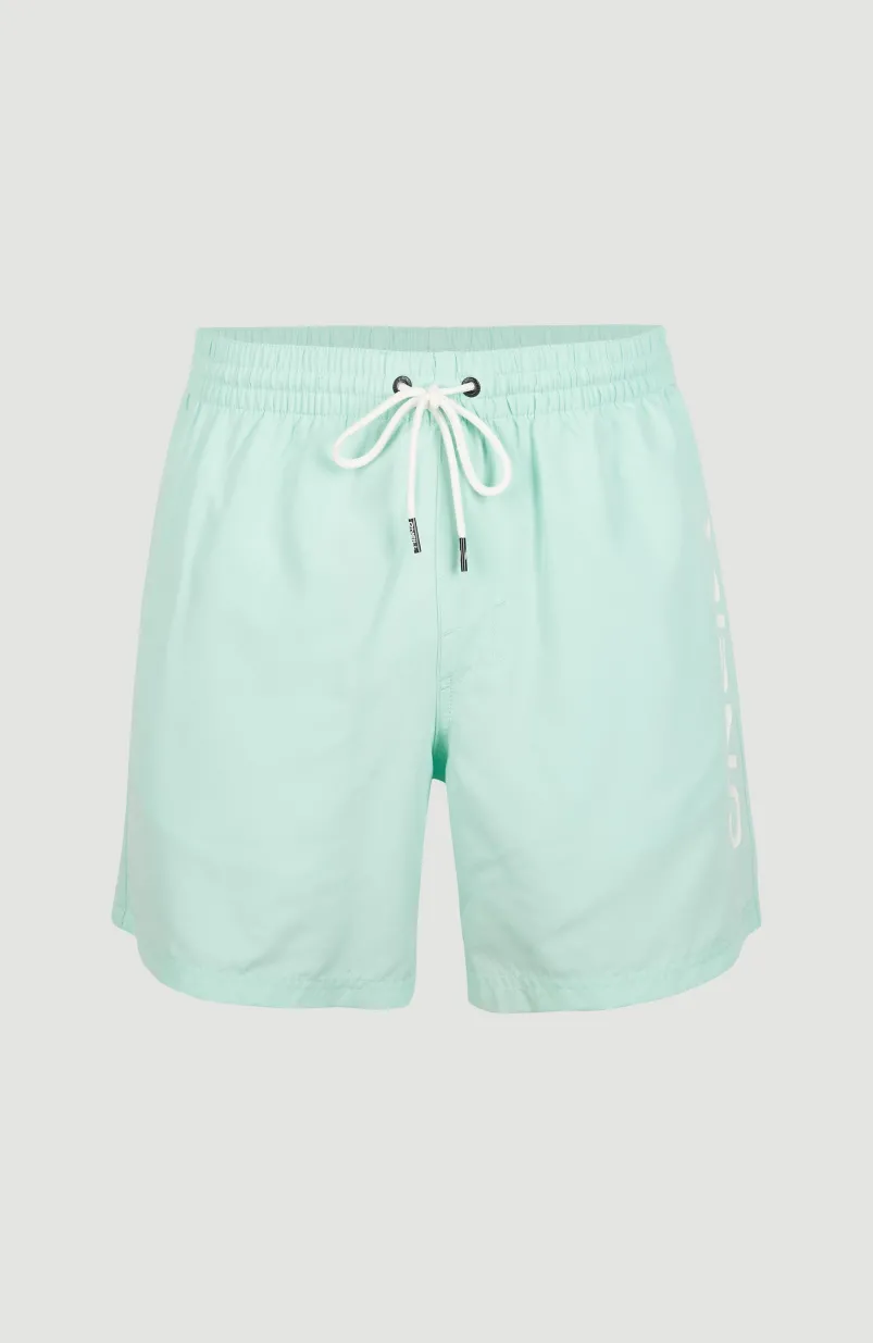 Zwemshort Cali 16'' | Beach Glass
