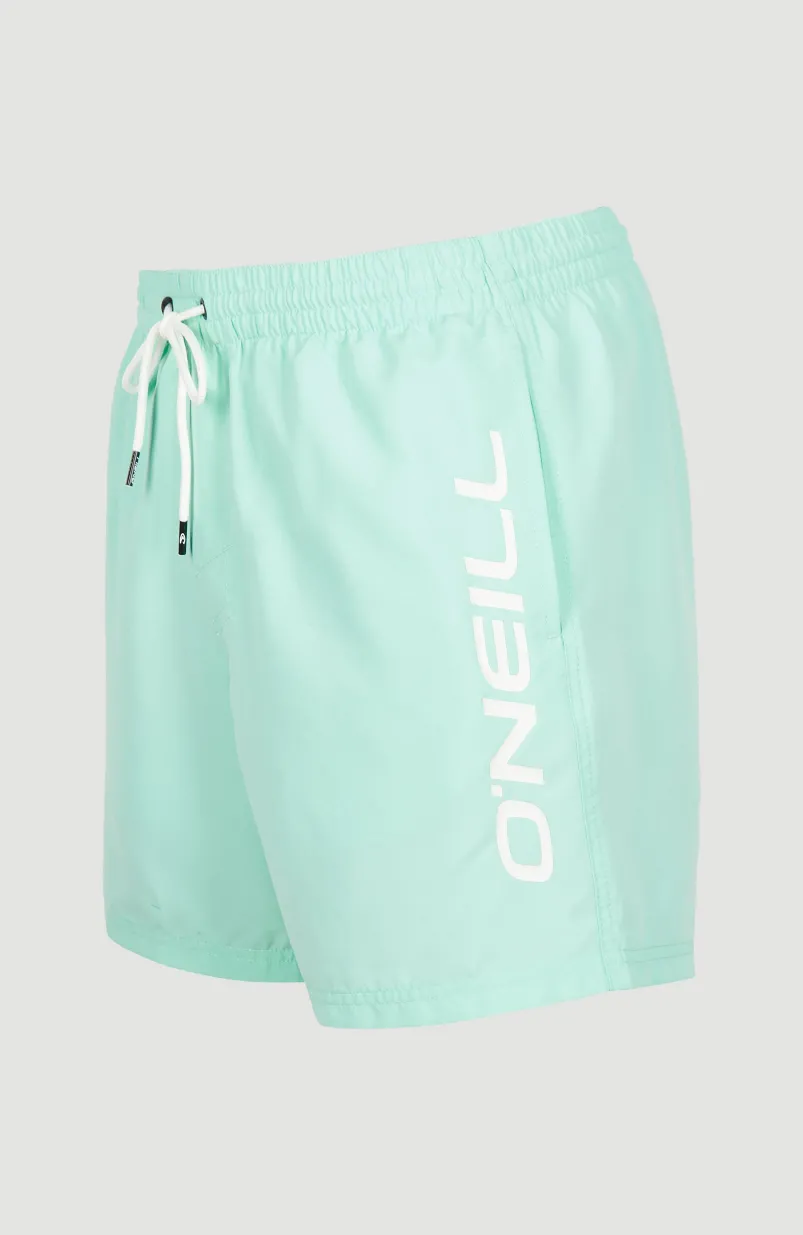 Zwemshort Cali 16'' | Beach Glass